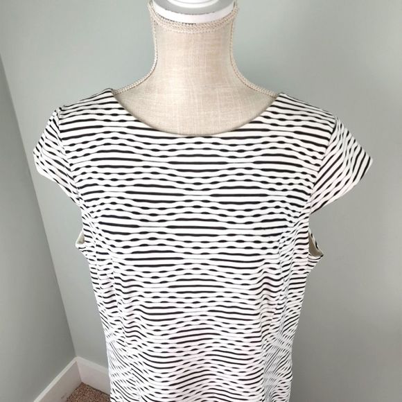 Anne KLEIN WOMEN'S SHIFT DRESS PLUS SIZE 14W CAP SLEEVE LINED BLACK AND WHITE - Picture 3 of 6